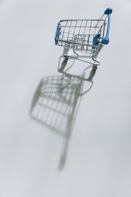 Dropshipping in 2025: Your Step-by-Step Startup Guide